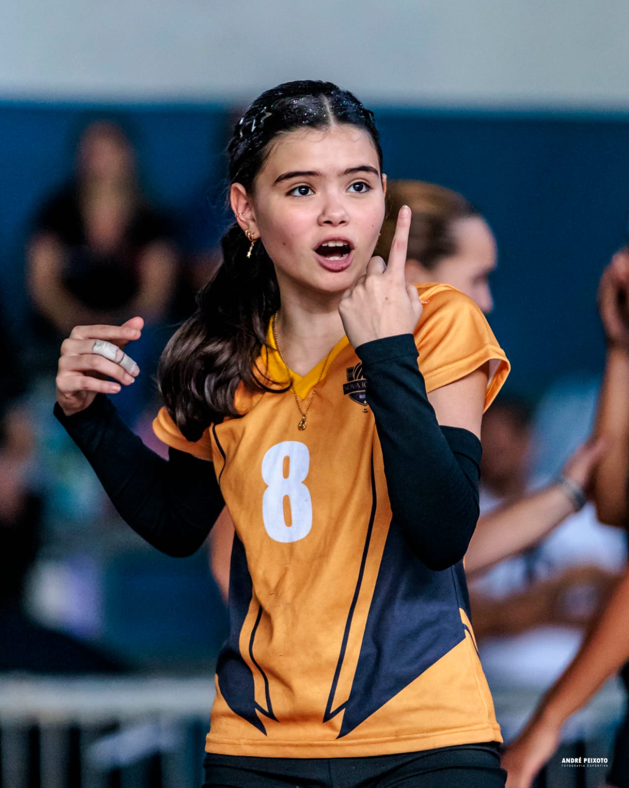 Nova Iguaçu Vôleibol